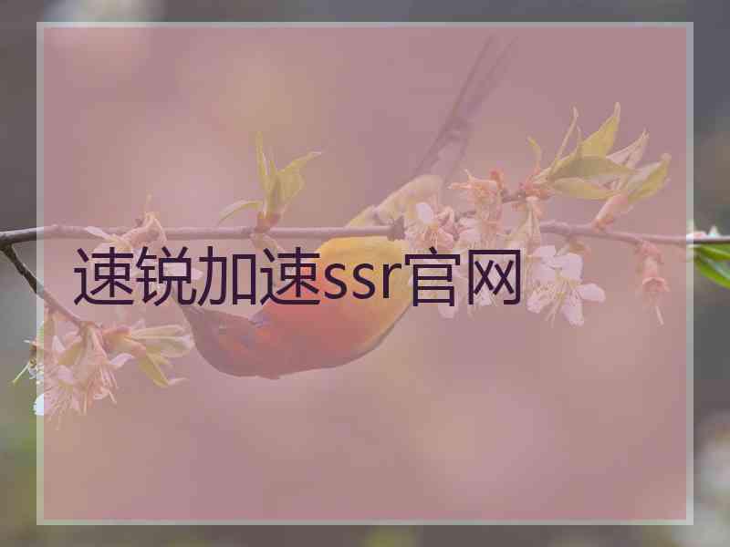 速锐加速ssr官网